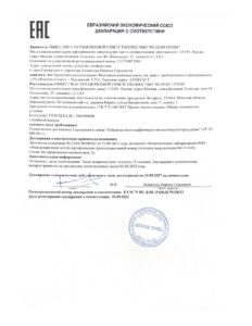 ЕВРАЗИЙСКИЙ ЭКОНОМИЧЕСКИЙ СОЮЗ_page-0001