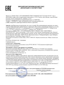 ЕАЭС N RU Д-RU.РА02.В.08456-25