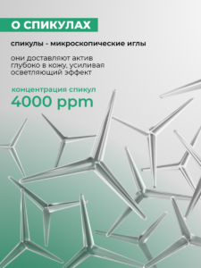 FACT100787_прямоугольный_03