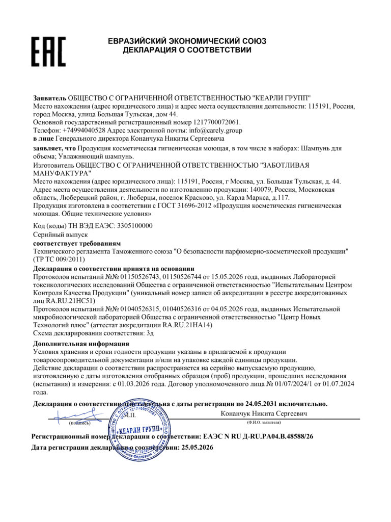 294990 Макет ДС ТР ЕАЭС1-1