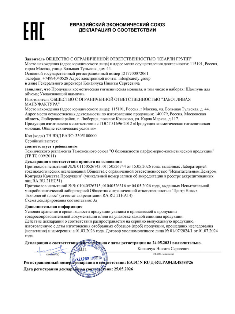294990 Макет ДС ТР ЕАЭС1-1