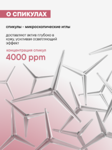 FACT100788_о спикулах