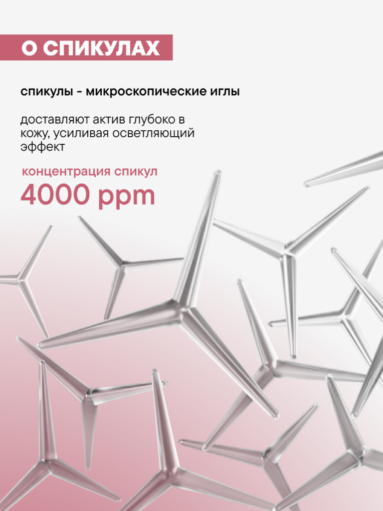 FACT100788_о спикулах