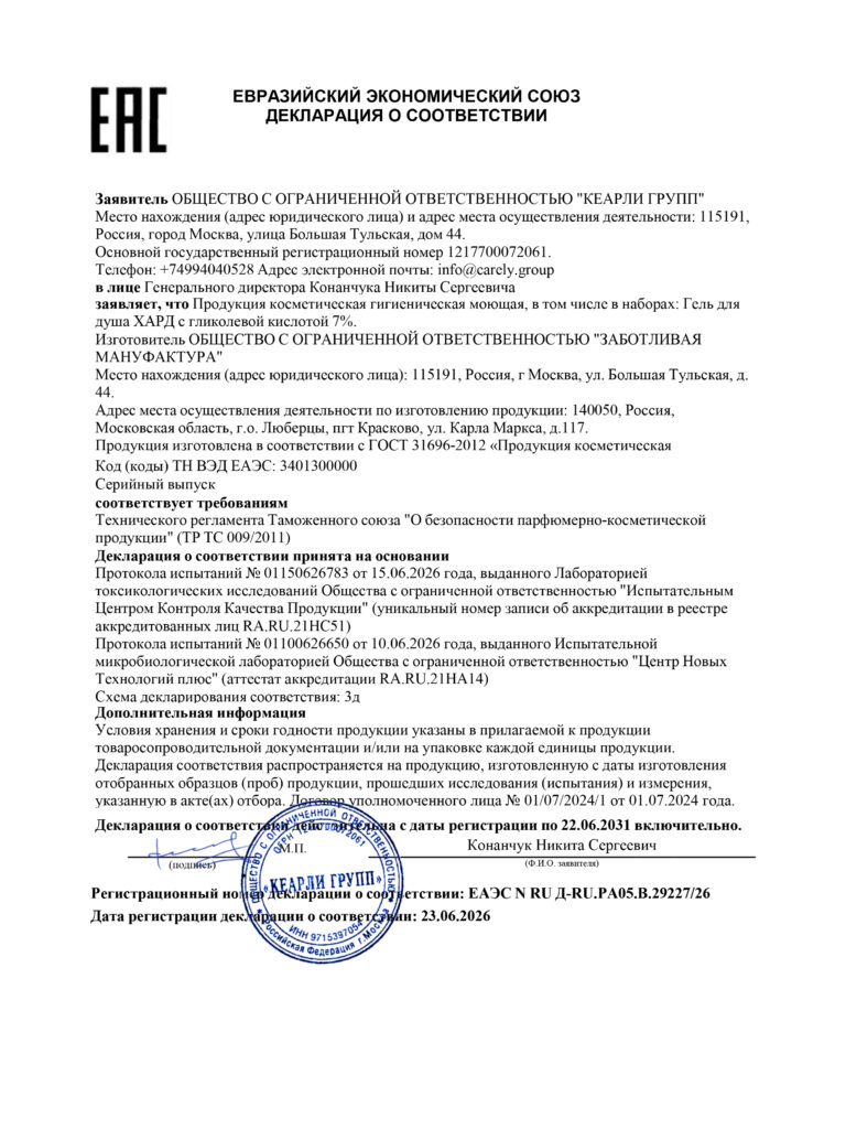 100784 295226 Макет ДС ТР ЕАЭС1 (1)
