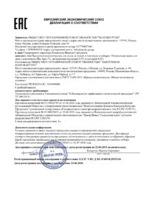 100804 295227 Макет ДС ТР ЕАЭС1